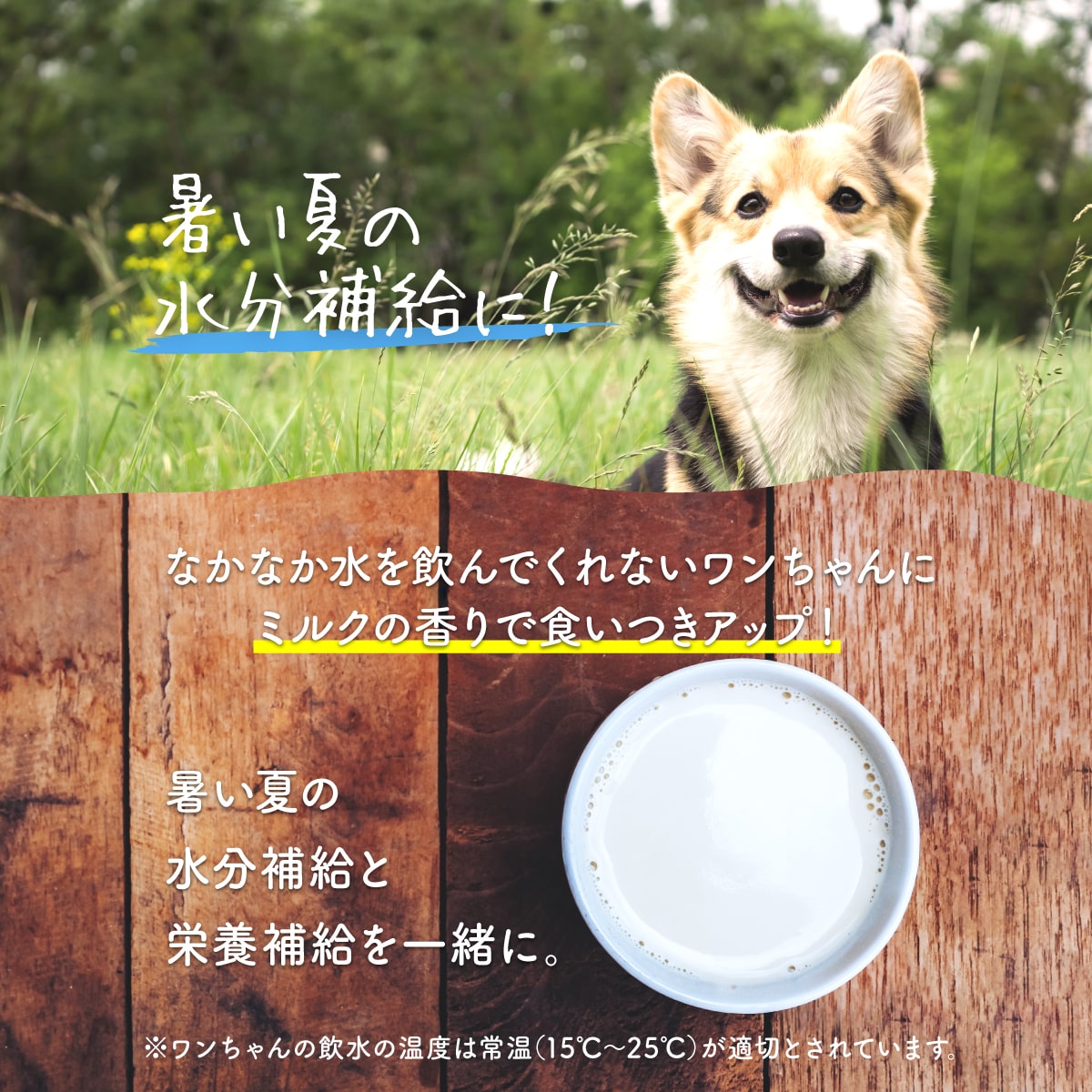 ［正規品］【wancom】 tasty!天使のヤギミルク 500g ≪4580414210753≫ ヤギミルク やぎミルク ペット ペットフード ドッグフード ドックフード キャットフード 犬 猫 脱脂粉乳 高栄養 低脂肪 低カロリー ミルク シニア 高齢 病気 健康 老犬 山羊