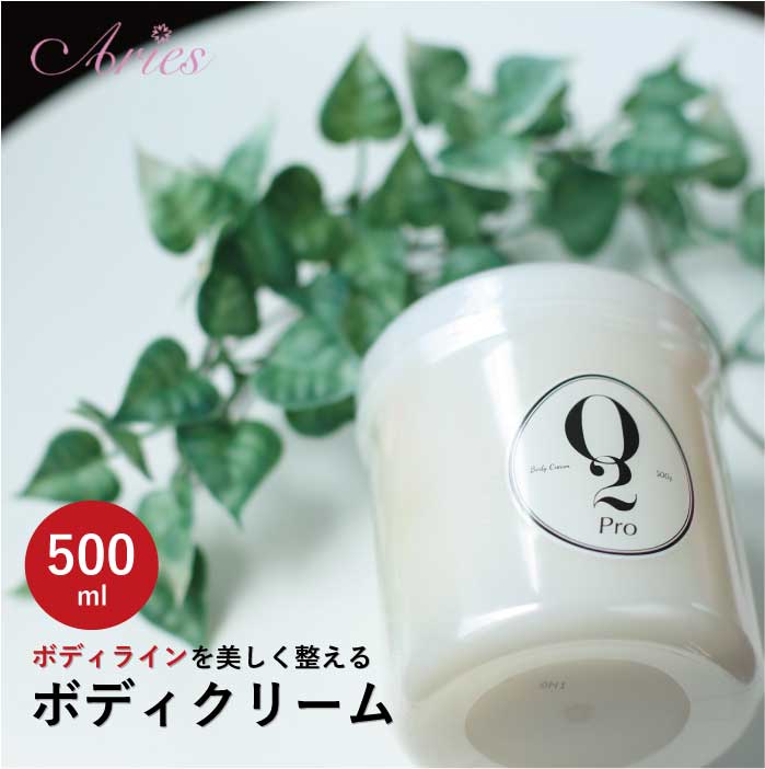 バレンタイン ボディクリーム オーツープロ O2PRO 500ml ミネラル 陽イオン 保湿 ボディ スキンケア バストアップ リンパマッサージ マッサージクリーム セルフケア 健康 バレンタイン ギフト プレゼント 塗る温泉