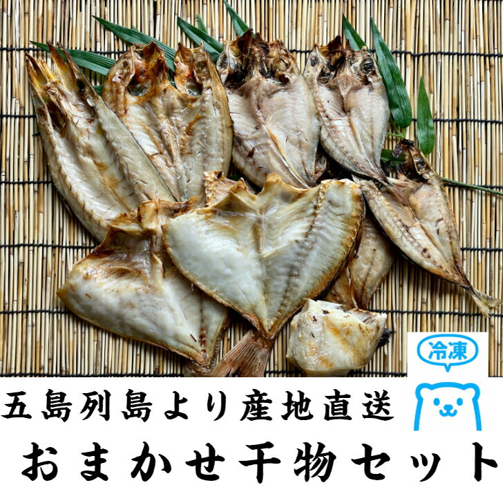 〜五島列島〜漁師さんの干物セット 3〜4種 1kg 魚 魚の干物 干物セット 干物 セット ギフト 詰め合わせ 敬老の日 敬老 夏のギフト おまかせセット 贈答　父の日 食べ比べ 海鮮セット 乾物 お取り寄せ お取り寄せグルメ 鯛 アジ ヒラマサ カマス イサキ プレゼント