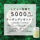 【正規認定5デアザフラビン(TND1128)使用】4000円OFFクーポン NMN36000mg FeriaLab フェリアラボ ナノ化 30mg 1カプセル 5デアザフラビン 5ala W配合 TND1128 ミトコンドリア ファイブアラ 腸で吸収力UP エイジングケア 40代 サーチュイン 母の日　ギフト 3