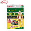 【連休中も休まず営業！】KOWA バンテリンコーワサポーター しっかり加圧タイプ 腰用 1枚入り　【あす楽対応】 [有賀園ゴルフ] ◇◇ ◆◆