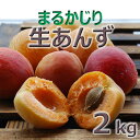 2019年 予約販売6月下旬〜出荷予定塚田さんちの生食用あん...
