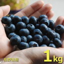 生ブルーベリー1kg(クール便)長野県産 大小バラ詰め沖縄・離島はお届け不可