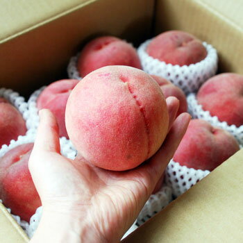 予約8月20日頃~出荷特秀「川中島白桃」2.5kg(10玉)JA光センサー選果(長野県産)★東北〜関西のみ送料無料(常温便)クール便別途(220円)
