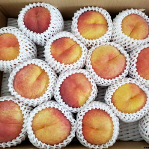 松林さんちの「ワッサー」3kg(15玉前後)長野県産 8月中旬前後~常温便★沖縄離島は送料別途