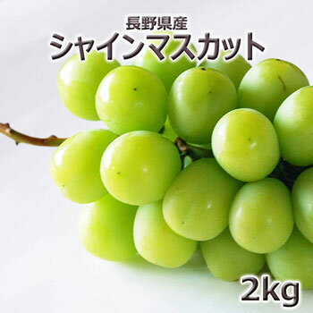 塚田さんちのシャインマスカット2kg5〜6房入（1房約400g）クール便10月上旬前後～出荷予定長野県産ぶどう沖縄県・離島へはお届け不可のサムネイル