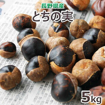 出荷中長野県産とちの実5kg(大小バラ詰め)★沖縄離島は送料別途