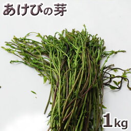 予約天然山菜・あけびの芽1kg(大小バラ詰め)5月上旬〜出荷予定※送料別(クール便)