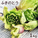 ご注文日3/25分出荷中天然山菜・ふきのとうまとめて1kg（大小バラ詰め）※送料別(クール便）