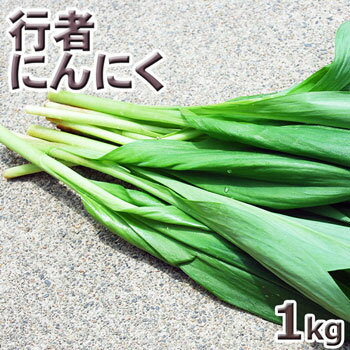 行者ニンニク1kg 予約販売天然・【葉が開いた】行者にんにくまとめて1kg(大小バラ詰め)※送料別(クール便)