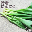 予約天然山菜・【葉が開いた】行者にんにく1kg(大小バラ詰め)5月中旬〜出荷予定※送料別(クール便)