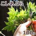 予約天然・コシアブラ（10cm前後まで）100g(大小バラ詰め)4月下旬〜出荷予定※送料別(クール便 ...