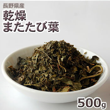 2024年産　長野県産乾燥またたび葉500g