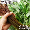 予約天然・赤ミズ100g(大小バラ詰め)