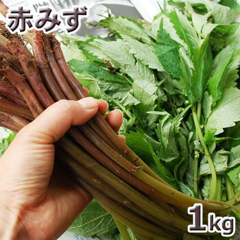 予約天然・赤ミズ1kg(大小バラ詰め)