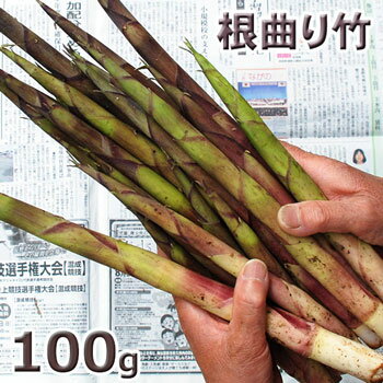 予約天然山菜・根曲がり竹100g(大小バラ詰め)　6月中旬～出荷予定長野県・志賀高原産※送料別(クール便)