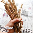 予約天然山菜・穂先が開いている土筆(並)500g（大小バラ詰め）4月上旬〜出荷予定送料別(クール便）