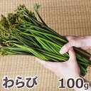 ご注文日5/20分出荷中天然・ワラビ100g(大小バラ詰め)...