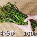 予約天然山菜・ワラビ100g(大小バラ