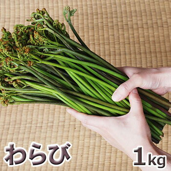 予約天然・ワラビ1kg(大小バラ詰め)あく抜き用灰汁付き5月下旬～出荷予定※送料別(クール便)