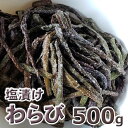 天然・塩漬けワラビ500g(大小バラ詰め)2025年産
