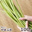 ͽŷڡᡪޥ֥100g(羮Хͤ)6ܡвͽꢨ()