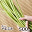 ͽŷڡᡪޥ֥500g(羮Хͤ)6ܡвͽꢨ()