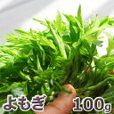 予約天然山菜・ヨモギ100g(大小バラ