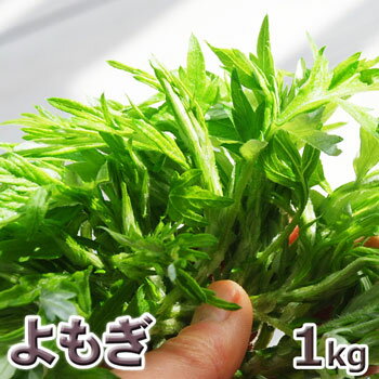 予約天然山菜・ヨモギ 1kg(大小バラ