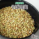 2023年産長野県産 そばの実 4kg 丸抜き 