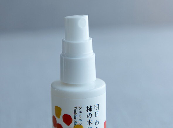 �ե��ߥ˥� �ߥ��ȡʿ��Τ�ͥ�����ե��ߥ˥󥱥���