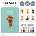 名入れ 背景 iPad ケース カバー ペン収納 A16 第10世代 第9世代 第8世代 第7世代 第6世代 韓国 可愛い 10.9インチ 10.2インチ iP...