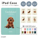 名入れ 背景 iPad ケース カバー ペン収納 A16 第10世代 第9世代 第8世代 第7世代 第6世代 韓国 可愛い 10.9インチ 10.2インチ iP...
