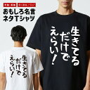 おもしろTシャツ ネタTシャツ おもしろ Tシャツ メンズ レディース キッズ 半袖 長袖 プレゼント ギフト 文字 漢字 メッセージTシャツ 文字Tシャツ パ...