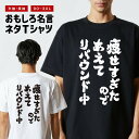 おもしろTシャツ おもしろ Tシャツ ネタTシャツ メンズ レディース キッズ 半袖 長袖 プレゼント ギフト 文字 漢字 メッセージTシャツ 文字Tシャツ パ...