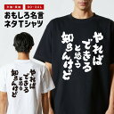 おもしろTシャツ おもしろ Tシャツ ネタTシャツ メンズ レディース キッズ 半袖 長袖 プレゼント ギフト 文字 漢字 メッセージTシャツ 文字Tシャツ パ...