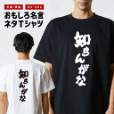 おもしろTシャツ おもしろ Tシャツ ネタTシャツ メンズ レディース キッズ 半袖 長袖 プレゼント ギフト 文字 漢字 メッセージTシャツ 文字Tシャツ パ...