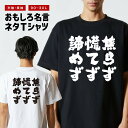 おもしろTシャツ おもしろ Tシャツ ネタTシャツ メンズ レディース キッズ 半袖 長袖 プレゼント ギフト 文字 漢字 メッセージTシャツ 文字Tシャツ パ...