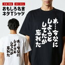 おもしろTシャツ おもしろ Tシャツ ネタTシャツ メンズ レディース キッズ 半袖 長袖 プレゼント ギフト 文字 漢字 メッセージTシャツ 文字Tシャツ パ...