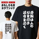 おもしろTシャツ おもしろ Tシャツ ネタTシャツ メンズ レディース キッズ 半袖 長袖 プレゼント ギフト 文字 漢字 メッセージTシャツ 文字Tシャツ パ...