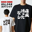 おもしろTシャツ おもしろ Tシャツ ネタTシャツ メンズ レディース キッズ 半袖 長袖 プレゼント ギフト 文字 漢字 メッセージTシャツ 文字Tシャツ パ...