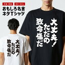 おもしろTシャツ おもしろ Tシャツ ネタTシャツ メンズ レディース キッズ 半袖 長袖 プレゼント ギフト 文字 漢字 メッセージTシャツ 文字Tシャツ パ...