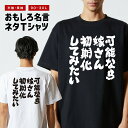 おもしろTシャツ おもしろ Tシャツ ネタTシャツ メンズ レディース キッズ 半袖 長袖 プレゼント ギフト 文字 漢字 メッセージTシャツ 文字Tシャツ パ...