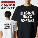 おもしろTシャツ おもしろ Tシャツ ネタTシャツ メンズ レディース キッズ 半袖 長袖 プレゼント ギフト 文字 漢字 メッセージTシャツ 文字Tシャツ パ...