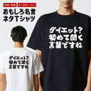 おもしろTシャツ おもしろ Tシャツ ネタTシャツ メンズ レディース キッズ 半袖 長袖 プレゼント ギフト 文字 漢字 メッセージTシャツ 文字Tシャツ パ...
