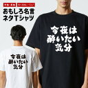 おもしろTシャツ おもしろ Tシャツ ネタTシャツ メンズ レディース キッズ 半袖 長袖 プレゼント ギフト 文字 漢字 メッセージTシャツ 文字Tシャツ パ...