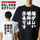 おもしろTシャツ おもしろ Tシャツ ネタTシャツ メンズ レディース キッズ 半袖 長袖 プレゼント ギフト 文字 漢字 メッセージTシャツ 文字Tシャツ パ...