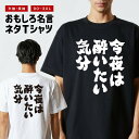 おもしろTシャツ おもしろ Tシャツ ネタTシャツ メンズ レディース キッズ 半袖 長袖 プレゼント ギフト 文字 漢字 メッセージTシャツ 文字Tシャツ パ...