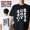 おもしろTシャツ おもしろ Tシャツ ネタTシャツ メンズ レディース キッズ 半袖 長袖 プレゼント ギフト 文字 漢字 メッセージTシャツ 文字Tシャツ パ...