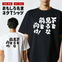 おもしろTシャツ おもしろ Tシャツ ネタTシャツ メンズ レディース キッズ 半袖 長袖 プレゼント ギフト 文字 漢字 メッセージTシャツ 文字Tシャツ パ...